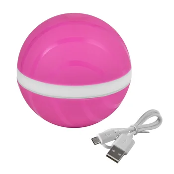 Pet Vaikai Žaislą Magic Roller ball Anti-bitės Auto miego funkcija Vandeniui USB LED Elektros Geležinkelių 